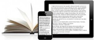 Livre-numerique_sommaire