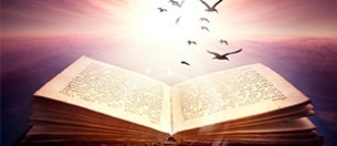 Thème 11 : Merveilleux et fantastique en littérature - photo