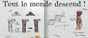 tout le monde descend sommaire